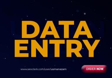 I will do instant data entry work
