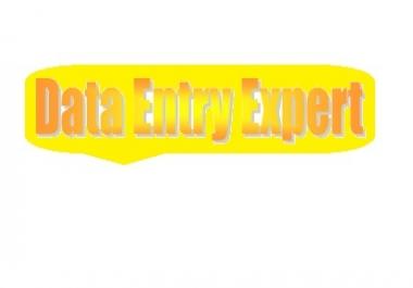 Any Kind of Data Entry Work with the Best Quality and in Time