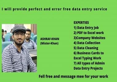 provide perfect and error free data entry service