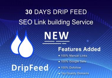 I will submit daily 10 blog comment with high da pa back links in 30 days