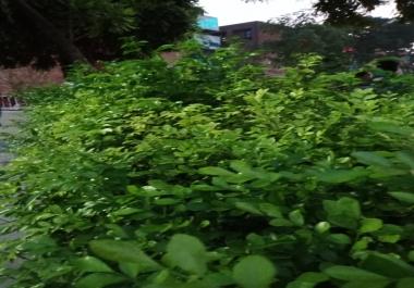 I am a great article writer and can write any kind of article.