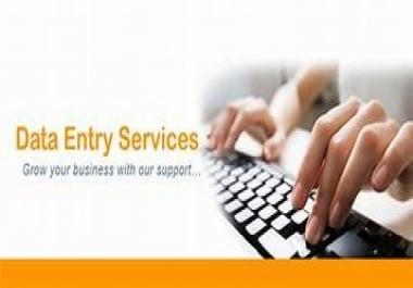 We do data entry in MS excel and MS word
