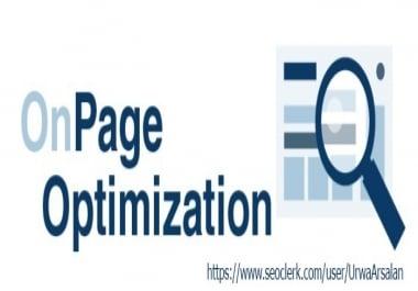 I Will Do OnPage SEO According to Update Search Engine Algorithm