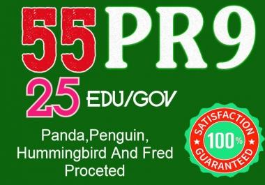 I Will do 55 Pr9+ 25 Edu/Gov Safe seo Authority Backlinks-Fire your google Ranking