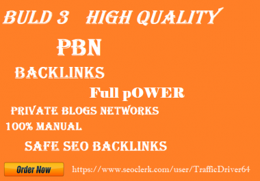 Build 3 homepage PBN Do Follow backlinks DA30+