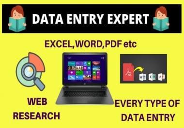 I will do any type of data entry professionally