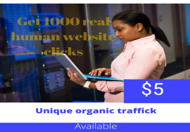 Get 1000 organic real human traffic