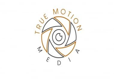 I will design 3 professional outstanding logo for your company.