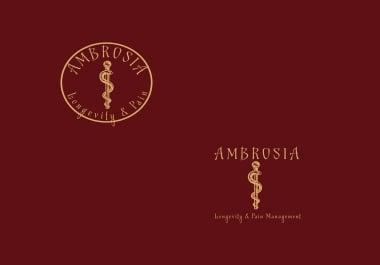 I will design professional Company logo for your