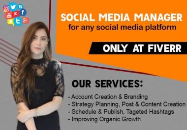 I will be the social media manager and content creator