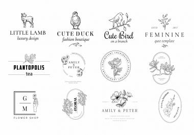 I will design high quality hand drawn logo