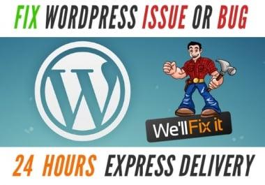 Fix Wordpress Issues and Wordpress Customization