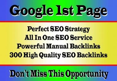 Rank on Google 1st page and high Traffic by our incredible Monthly Package