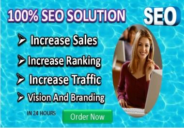 I will do SEO optimization for your WordPress website