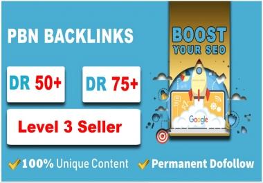 Provide you 10 PBN links from DR 50+