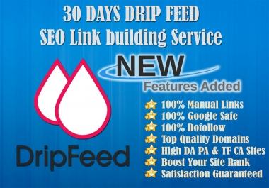 I will submit 30 days dripfeed seo link building service for daily update