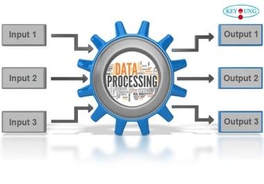 will provide 5k data processing service