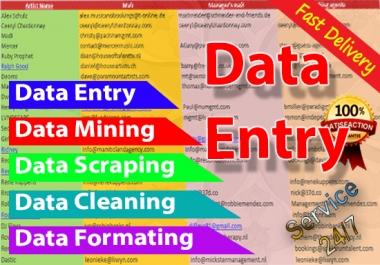 I will do accurate Data Entry and Web Research