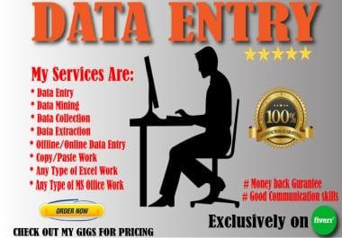 I will do excel data entry,  copy paste,  typing,  data entry/School data entry