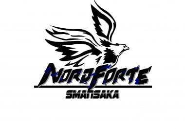 Logo Design with unlimited revisian if you are not satisfied