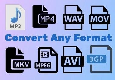 I will convert any audio or video file to mp3,  mp4,  wav,  pdf to word, word to pdf,  other file format