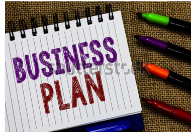I will write a professional business plan