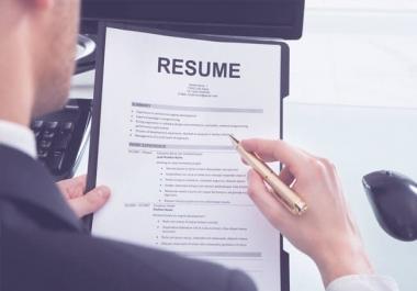 provide professional resume writing services