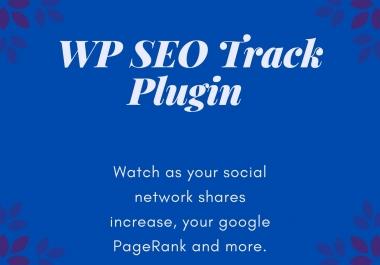 WP SEO Track PluginWith this simple plugin&nbsp you can get the true insight on your web traffic efforts