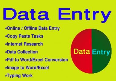 I will do your any kind of data entry works with 24/7 support