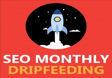 Website Monthly,  Weekly High Quality Backlinks Dripfeed