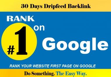 30 days drip-feed OR refund money seo with high quality backlinks