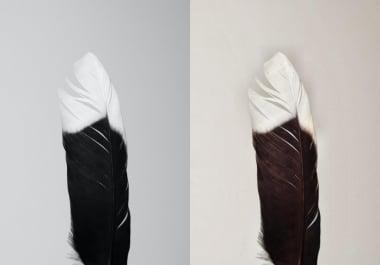 Colourise your images in better way Don't waste your time minimum payment