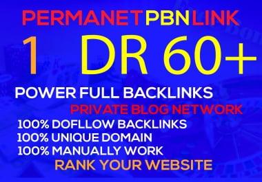 I will 1 PBN DR 60+ do permanent homepage pbn