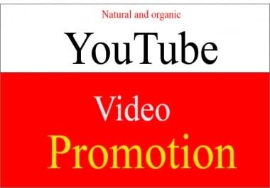 I will do super Fast organic youtube promotion for super growth