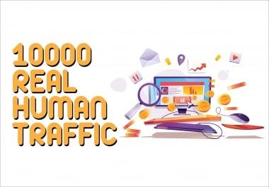 10000 Real Human Traffic to Your Website