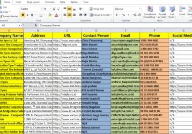 I will do B2B lead generation,  web research and data entry perfectly