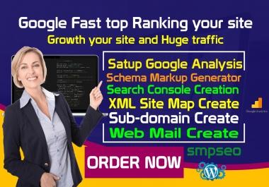 Satup google analysis schema markup other service