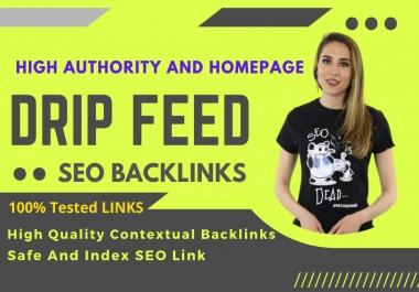 Build 2021 Latest 30 days Drip Feed SEO link building service for daily update