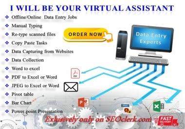 I Will Do Any Kind of Data Entry,  Copy Paste,  Pivot,  chart and Typing Work for 2 hours