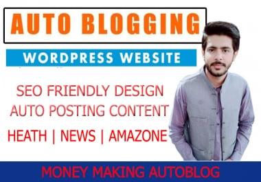 I will create autopilot,  auto blogging wordpress website,  autoblog