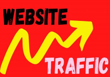 I will provide Website Traffic for your site