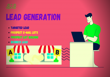 I will do 250 b2b lead generation and prospect email list building