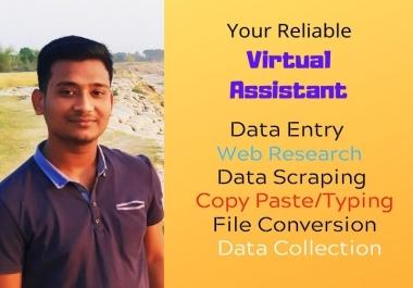 I will be your ideal Virtual Assistant for any Task