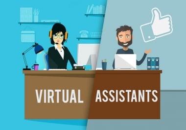 i will be an ideal virtual assistant,  data entry