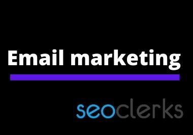 I will send email blast for your business campaign
