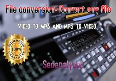 I will convert video to mp3, mp4 or other format you desire