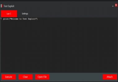 I will make you a custom roblox exploit