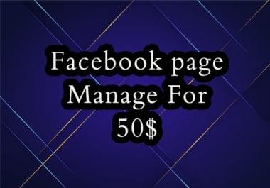 Facebook Page manage and content creator