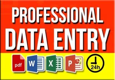 I will do data entry,  web research,  copy paste,  and excel data entry