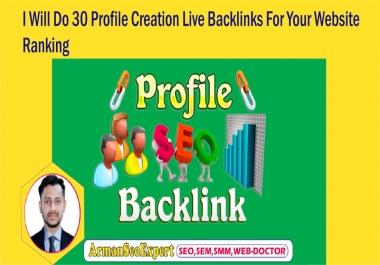 I Will Do 30 Profile Creation Live Backlinks For Your Website Ranking
